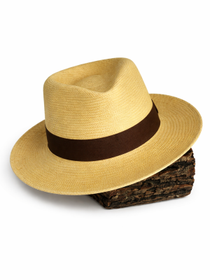 ChatGPT Image 31 mar 2026, 03_54_10 p.m.